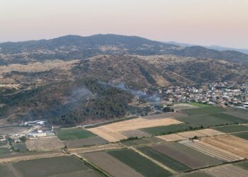 Koçarlı’da çıkan yangın korkuttu