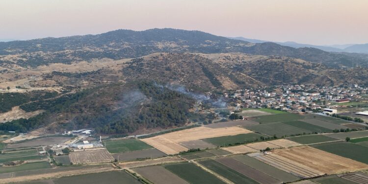 Koçarlı’da çıkan yangın korkuttu