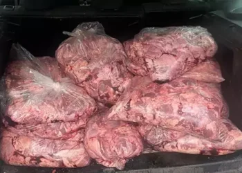 Kokusu ele verdi! Araçta 450 kilo bozuk etle yakalandı