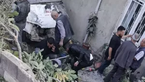 Kontrolden çıkan kamyonet evin bahçesine uçtu