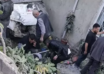 Kontrolden çıkan kamyonet evin bahçesine uçtu