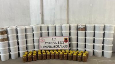 Aydın'ın Köşk ilçesinde jandarma ekiplerince düzenlenen operasyonda, hijyenik olmayan koşullarda