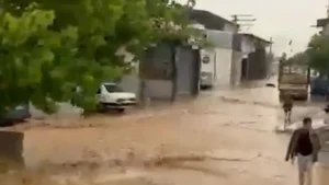 Köşk’te korku dolu anlar 11 hayvanı ekipler kurtardı Köşk’te korku dolu anlar 11 hayvanı ekipler kurtardı