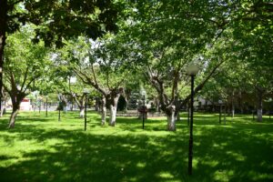 Kültür Park İncirliova Belediye’sine tahsis edildi Kültür Park İncirliova Belediye’sine tahsis edildi