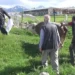 Kurban keserken kalp krizi geçirip öldü
