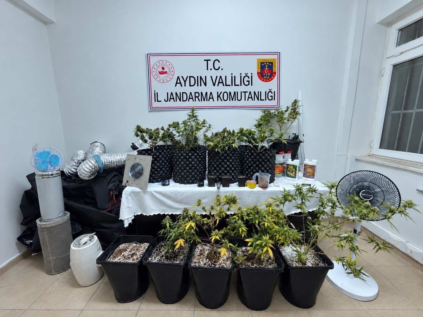 Kusadasi’nda cadirda skunk yetistirdi (1) Kusadasi’nda cadirda skunk yetistirdi (1)