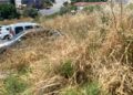 Kuşadası’nda otlar yangına, sivrisinekler kabusa dönüştü (2)