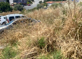 Kuşadası’nda otlar yangına, sivrisinekler kabusa dönüştü (2)