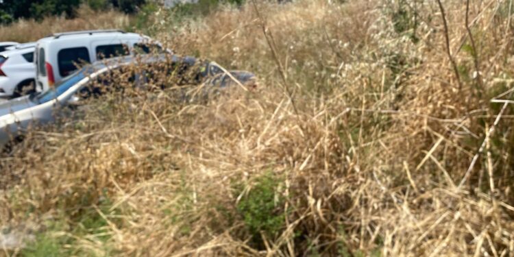 Kuşadası’nda otlar yangına, sivrisinekler kabusa dönüştü (2)