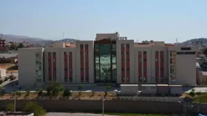 Lise öğrencisi babasını öldürüp, annesini yaraladı