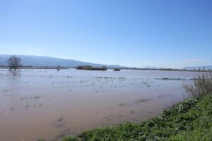 Menderes’in taşkını İncirliova’yı vurdu (2)