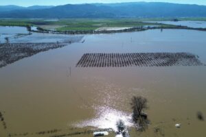 Menderes’in taşkını İncirliova’yı vurdu (4)