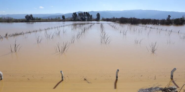 Menderes’in taşkını İncirliova’yı vurdu (5)