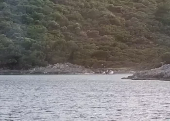 Milli Park’ta yasaklı bölgeye botla giren 3 kişiye 8 bin 859 lira ceza