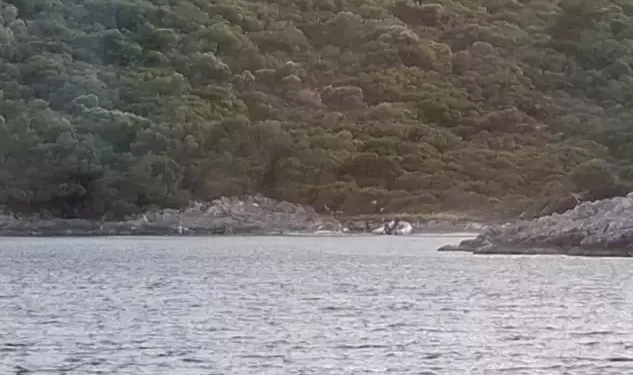Milli Park’ta yasaklı bölgeye botla giren 3 kişiye 8 bin 859 lira ceza
