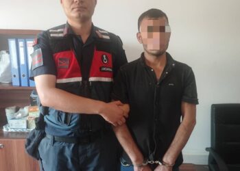 Mısır tarlasında dayısını bıçakla öldürdü