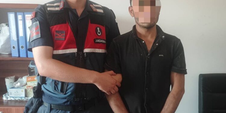 Mısır tarlasında dayısını bıçakla öldürdü