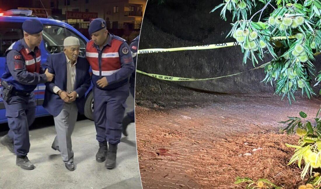 Nazilli’de eski muhtarı öldüren zanlı ormanda yakalandı Aydın Nazilli'de tarlaya düşen kestane kozalağı nedeniyle çıkan kavgada 70