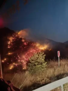 Nazilli'de orman yangını büyümeden kontrol altına alındı