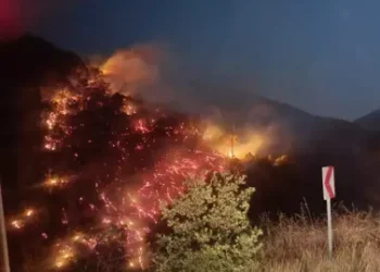 Nazilli'de orman yangını büyümeden kontrol altına alındı