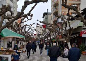 O fotoğraflar AK Partili başkanın başını yaktı