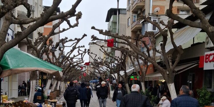 O fotoğraflar AK Partili başkanın başını yaktı