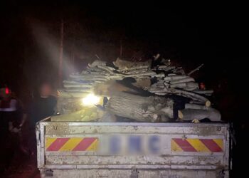 Orman Envalİ Kuyucuk 1