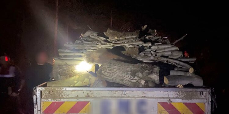 Orman Envalİ Kuyucuk 1