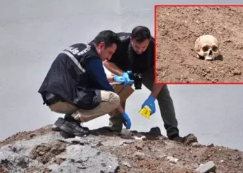 Okul inşaat kazısından insan kafatası ve kemikler çıktı
