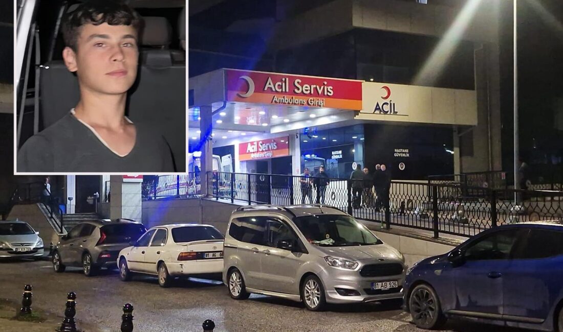 Düzce’nin Yığılca ilçesinde kaybolan hayvanlarını bulmak için ormanlık alana giden
