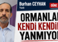 Ormanlar kendi kendine yanmıyor!