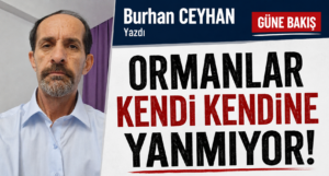 Ormanlar kendi kendine yanmıyor! Aydın... Bereketli toprakların, zeytinin, incirin ve