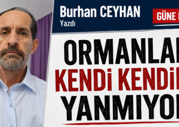 Ormanlar kendi kendine yanmıyor!