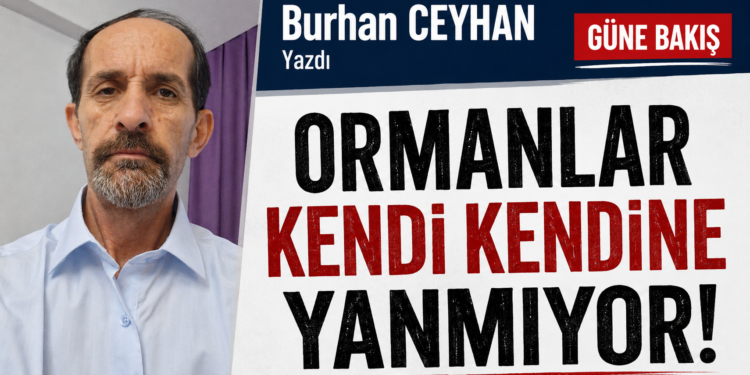 Ormanlar kendi kendine yanmıyor!