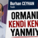 Ormanlar kendi kendine yanmıyor!