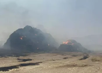 Ot yangını hayvan çiftliğine sıçradı