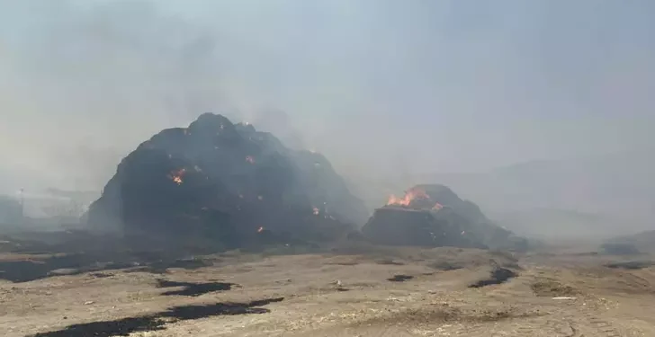 Ot yangını hayvan çiftliğine sıçradı