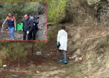 Otelden ayrılan genç ormanda ölü bulundu
