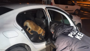 Aydın’ın Efeler İlçesinde polisin durdurarak arama yaptığı otomobilde 150 gram