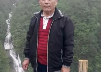Otomobilin çarptığı emekli doktor öldü