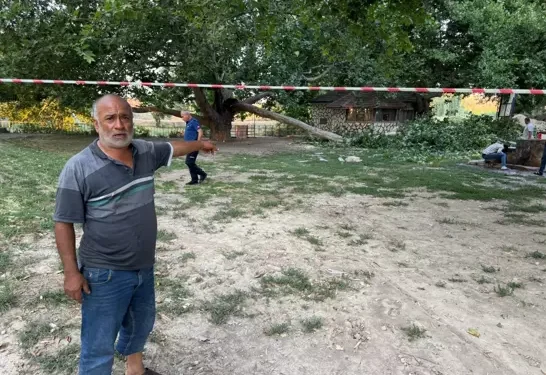 Piknik yapanların üzerine ağaç düştü 11 yaralı