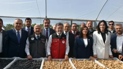 Tarım ve Orman Bakanı İbrahim Yumaklı, Türkiye'nin dünya incir üretiminde yüzde 28'lik