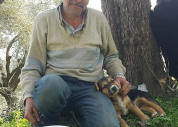 Belediye işçisi hayatına son verdi