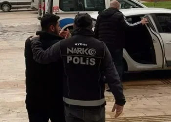 Saksıda kenevir yetiştiren şüpheli tutuklandı