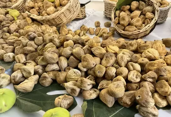 Sezonun ilk kuru inciri 800 liradan satıldı
