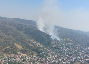 Söke’de zira alanda yangın çıktı