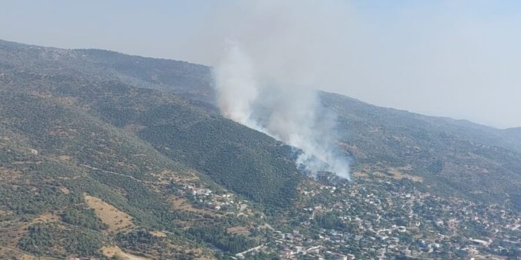 Söke’de zira alanda yangın çıktı