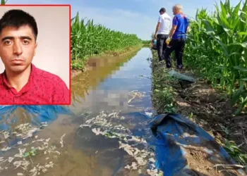 Sulama için gittiği tarlada cesedi bulundu