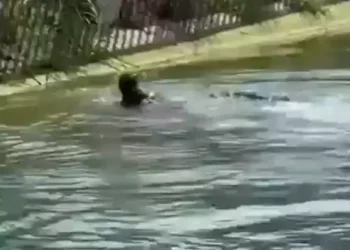 Sulama kanalında erkek cesedi bulundu