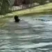 Sulama kanalında erkek cesedi bulundu